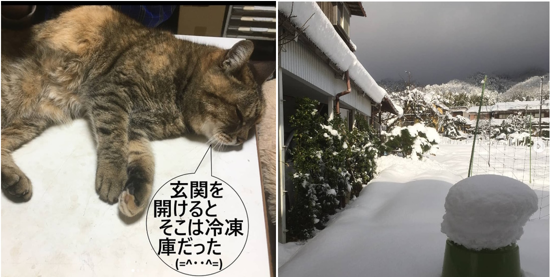 冬はあまり好きじゃない