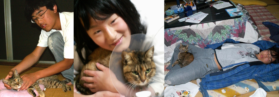 家族になりたての愛ネコ