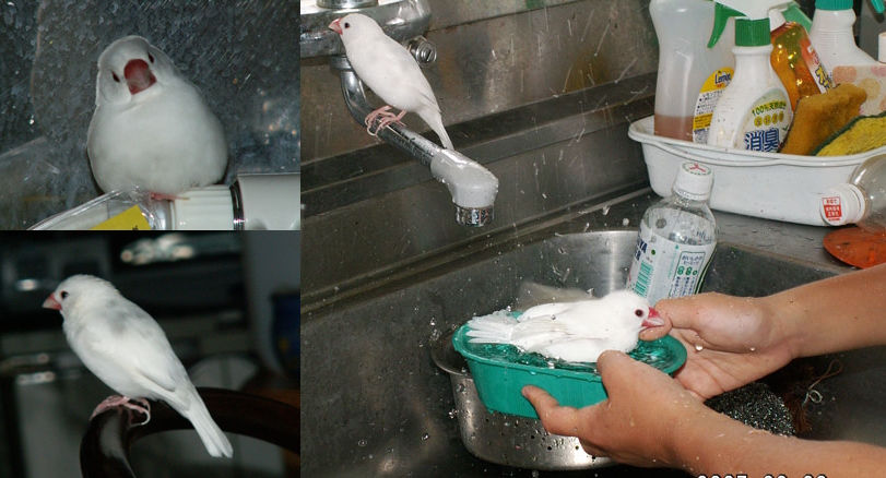 動物とのふれあい