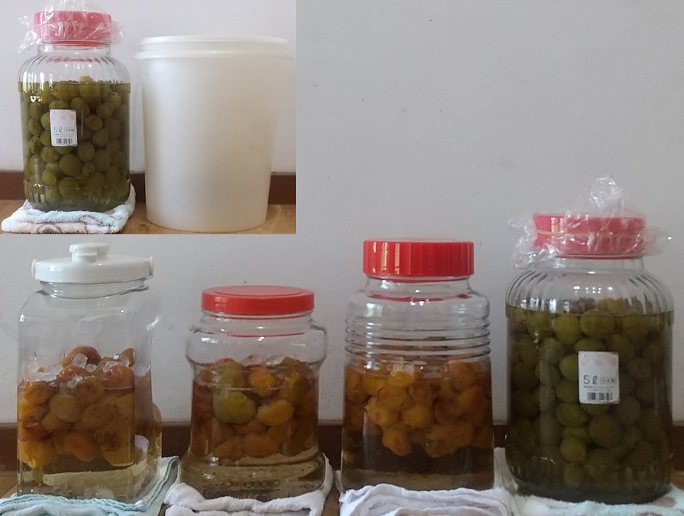 梅シロップ作り