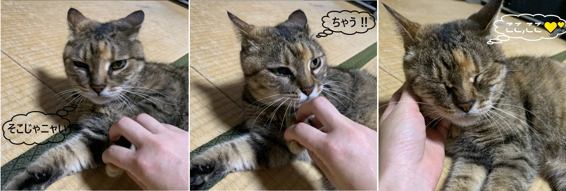 まずは安心感を