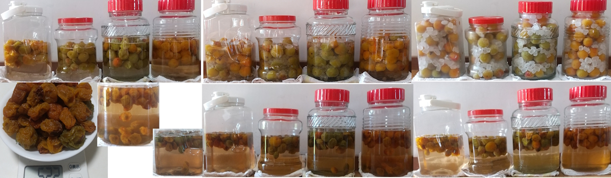 梅シロップつくり