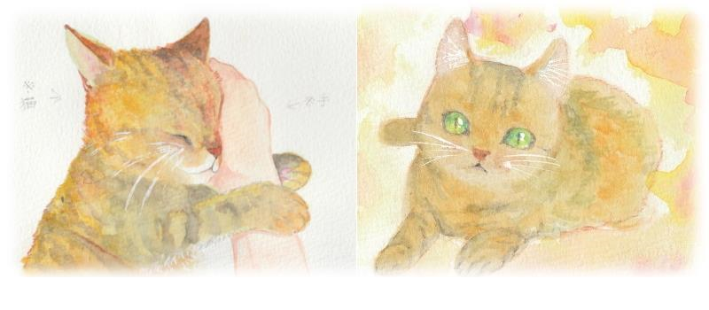 topページのイメージ 愛ネコCOCOのイラスト　(娘作)