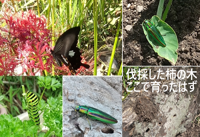 勉強を面白くするきっかけは身の回りにあり