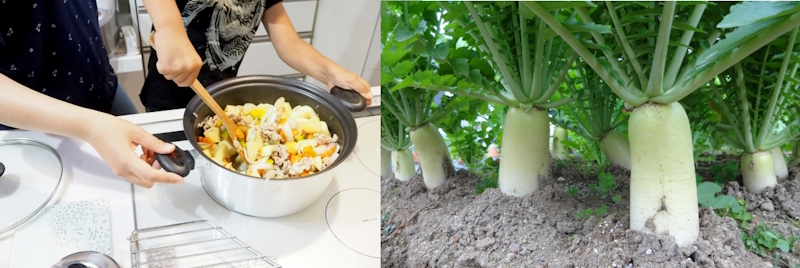 大根も視点を変えれば「なぜ？」が一杯