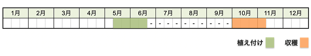 サツマイモ栽培カレンダー